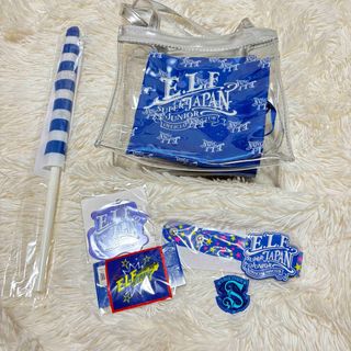 SUPERJUNIOR 2012年ファンミーティング